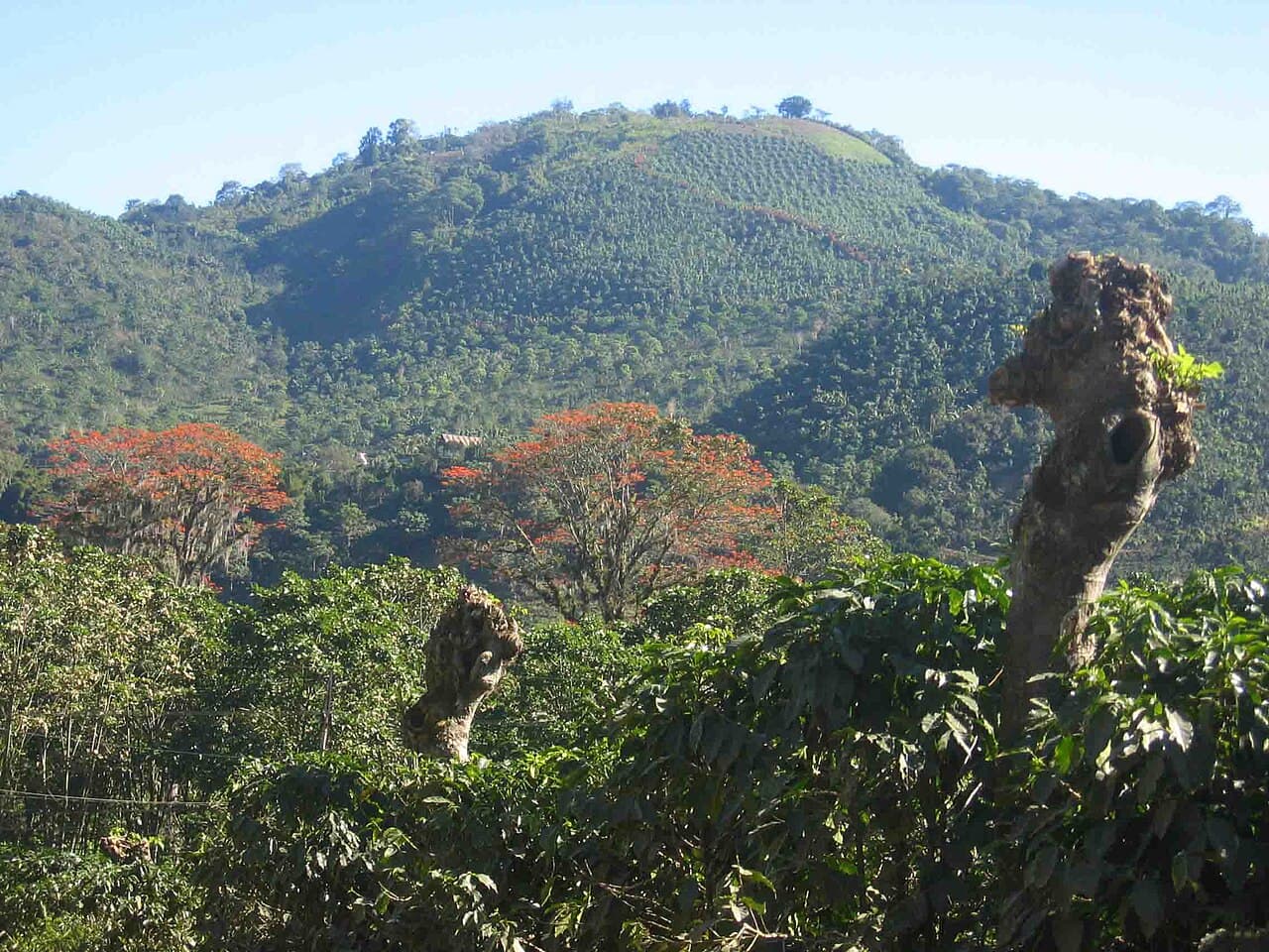 Costa Rica